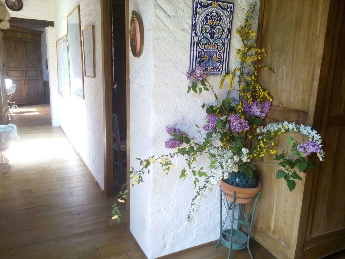 Touvent Maison Au Milieu Des Bois Savignac-de-Miremont Экстерьер фото
